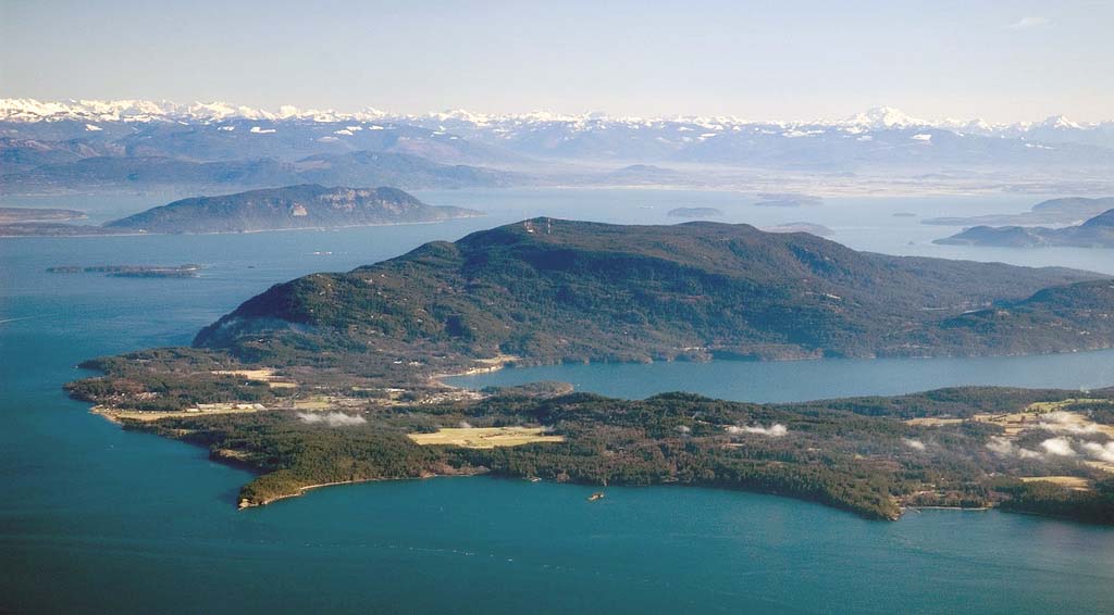 Aerial view of a lush green island surrounded by calm blue waters, with distant mountains capped with snow under a clear sky.